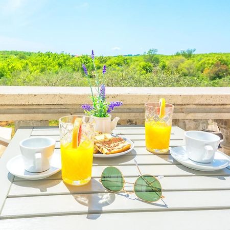 Guest House Marla Slivnica Εξωτερικό φωτογραφία